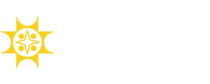 sonali bank plc
